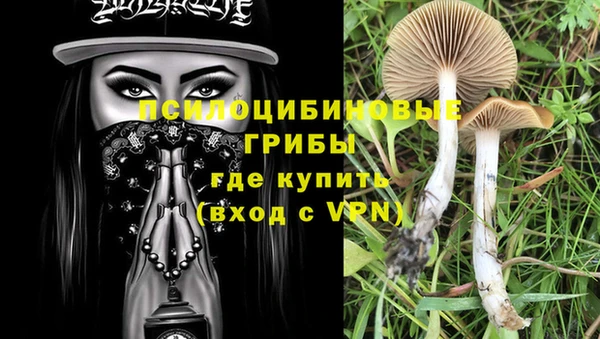 не бодяженный Алексин