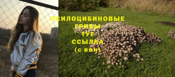ГАЛЛЮЦИНОГЕННЫЕ ГРИБЫ Алексеевка