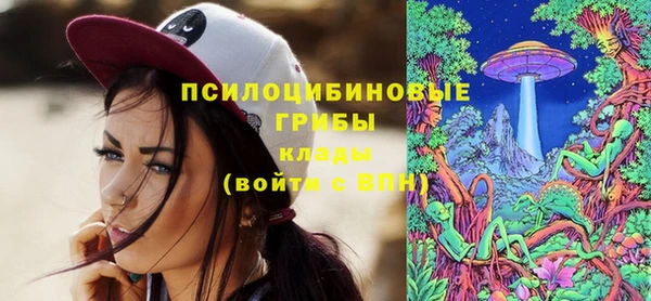 ГАЛЛЮЦИНОГЕННЫЕ ГРИБЫ Алексеевка