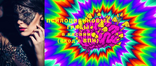 не бодяженный Алексин