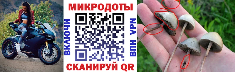 купить закладку  Усть-Джегута  Галлюциногенные грибы Magic Shrooms 